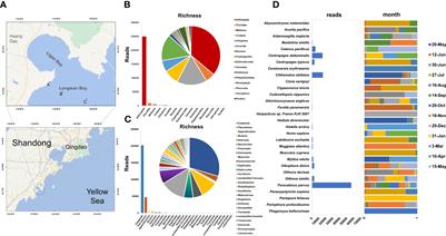 Temporal dynamics of zooplankton community in an oyster farming area of the Yellow Sea in China via metabarcoding